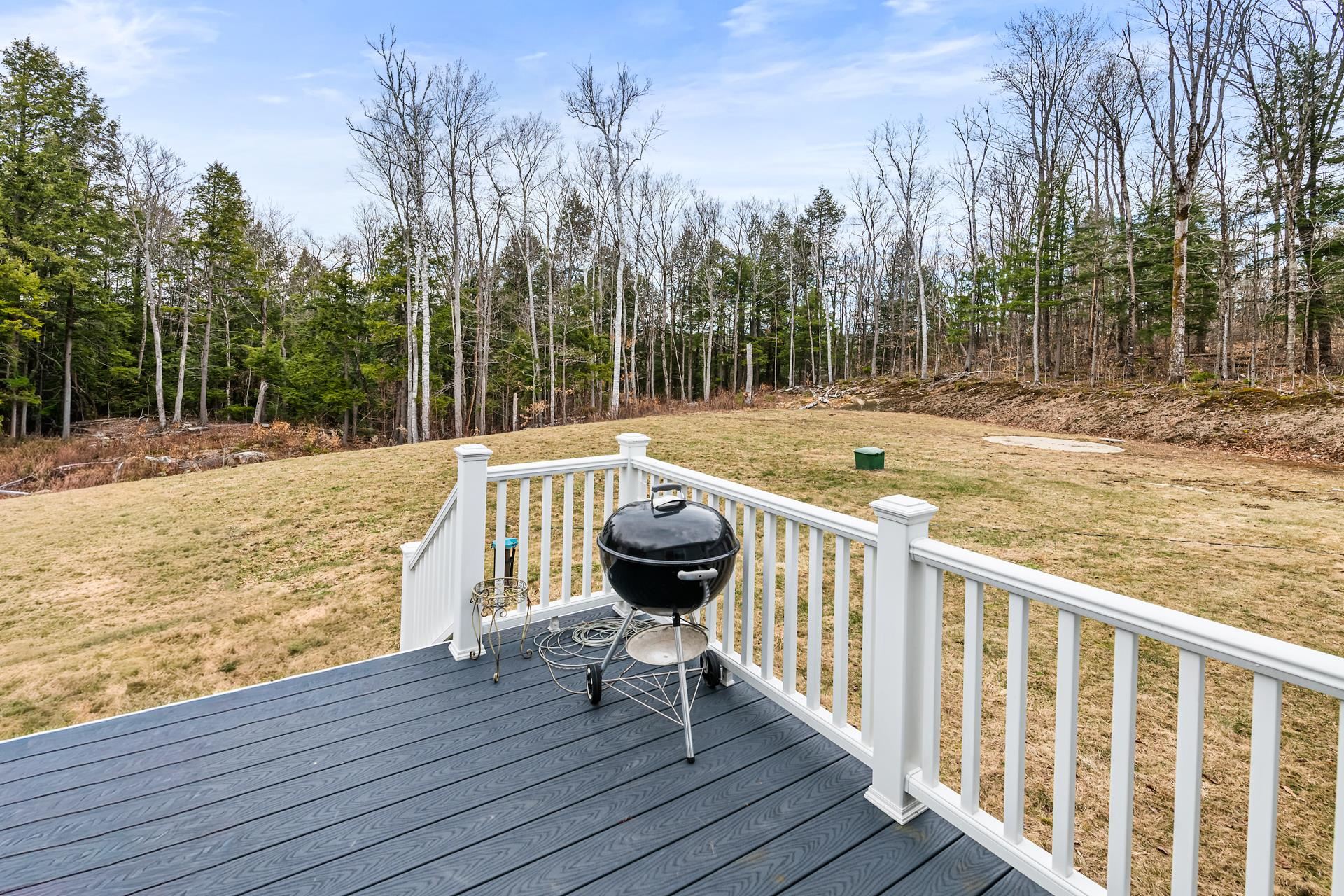 69 Rawson Ridge Grantham, NH 03753 - Photo 31 of 32