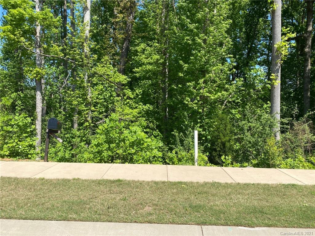 1512 Spring Blossom Trail, Unit 46 Fort Mill, SC 29708 - Photo 1 of 4