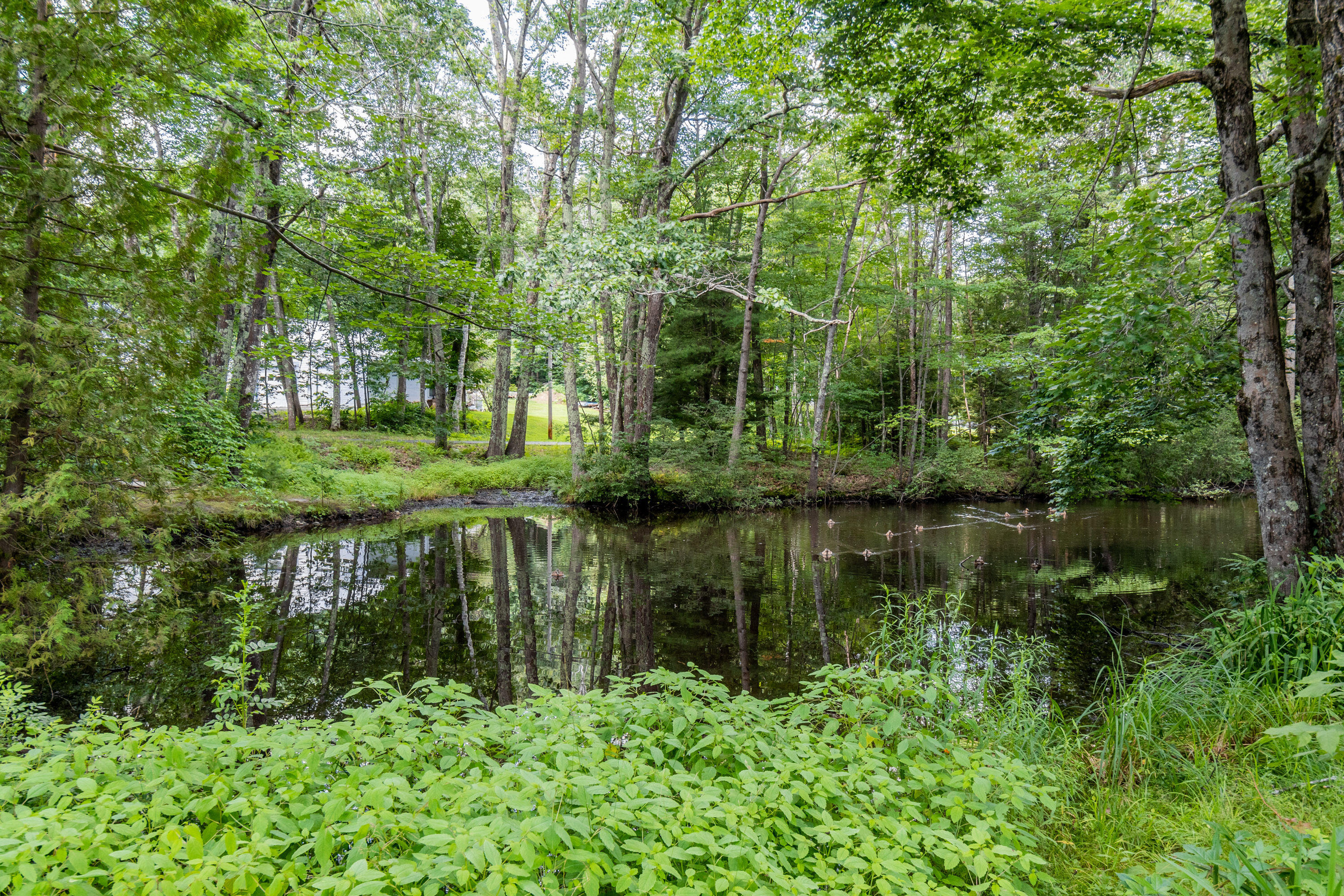 395 River Road Topsham, ME 04086 - Photo 5 of 37 20230802ms-82075
