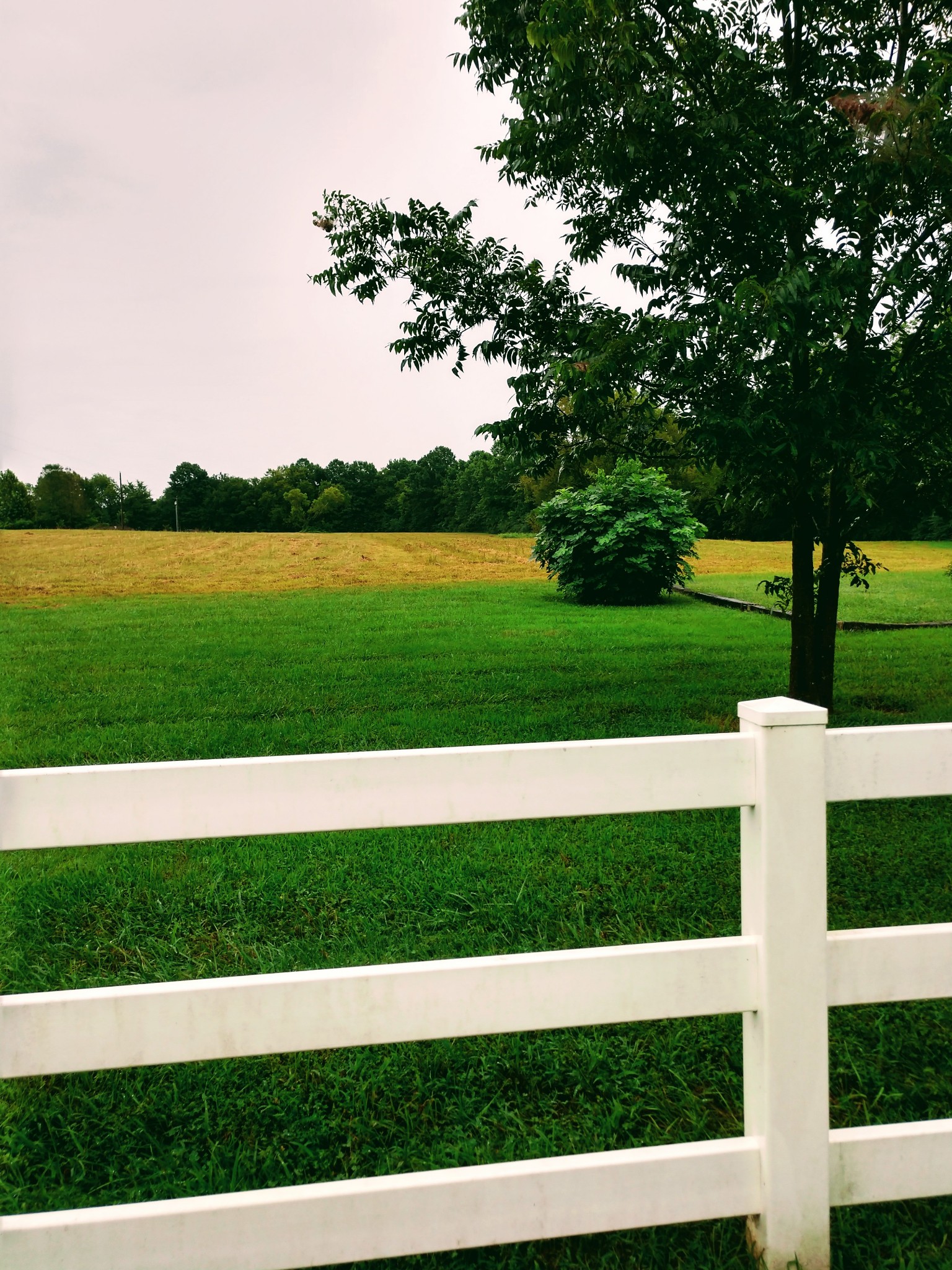 5209 Rucker Christiana Road Christiana, TN 37037 - Photo 11 of 39 Gallery Image 11