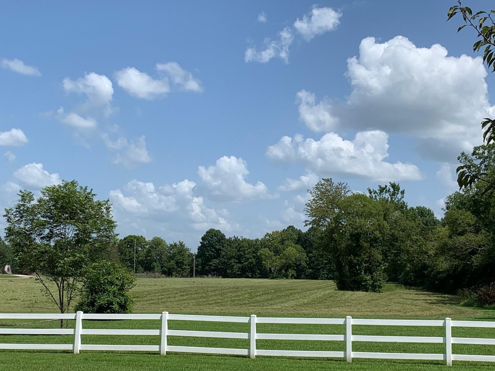 5209 Rucker Christiana Road Christiana, TN 37037 - Photo 13 of 39 Gallery Image 13