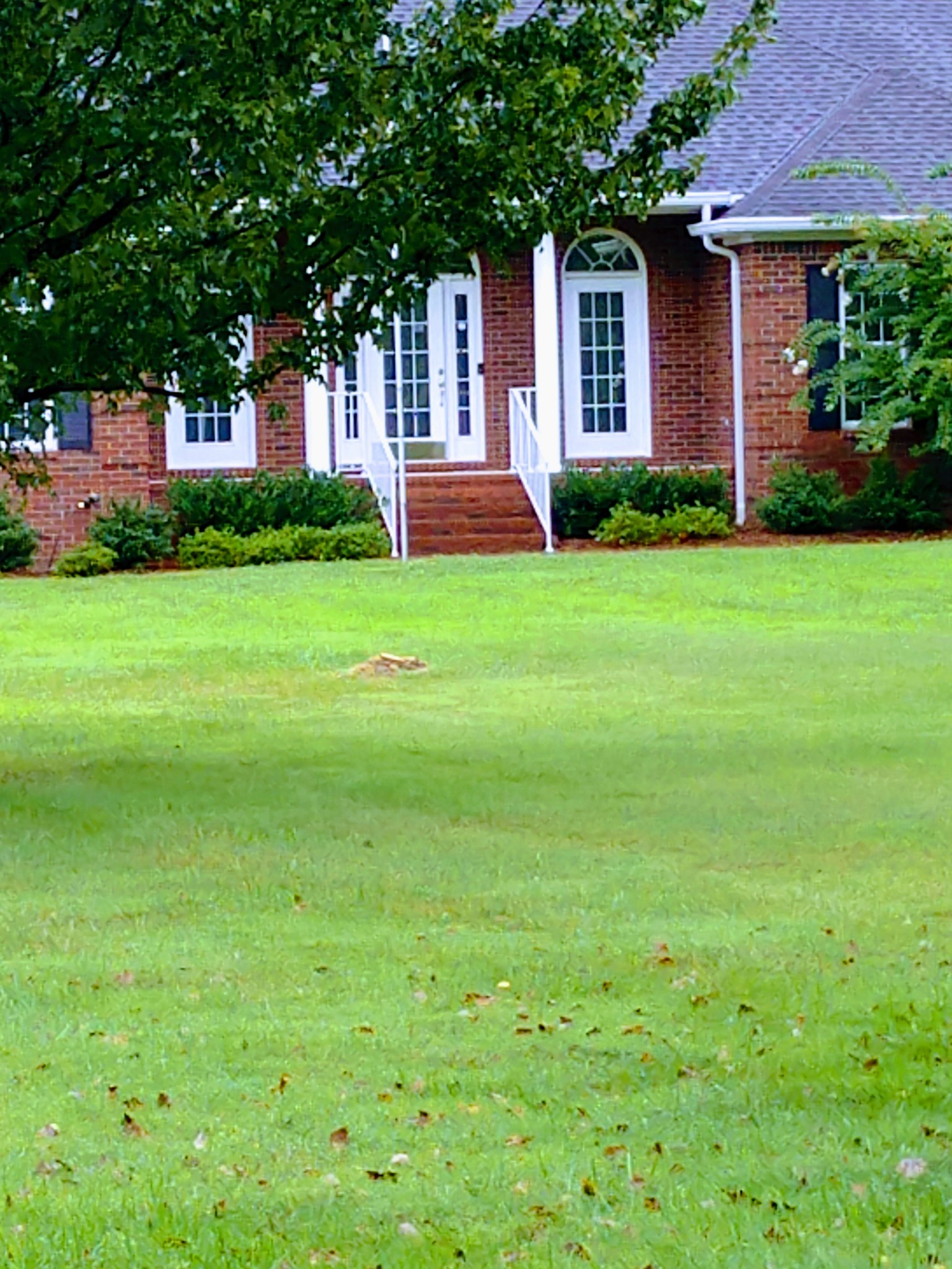 5209 Rucker Christiana Road Christiana, TN 37037 - Photo 4 of 39 Gallery Image 4