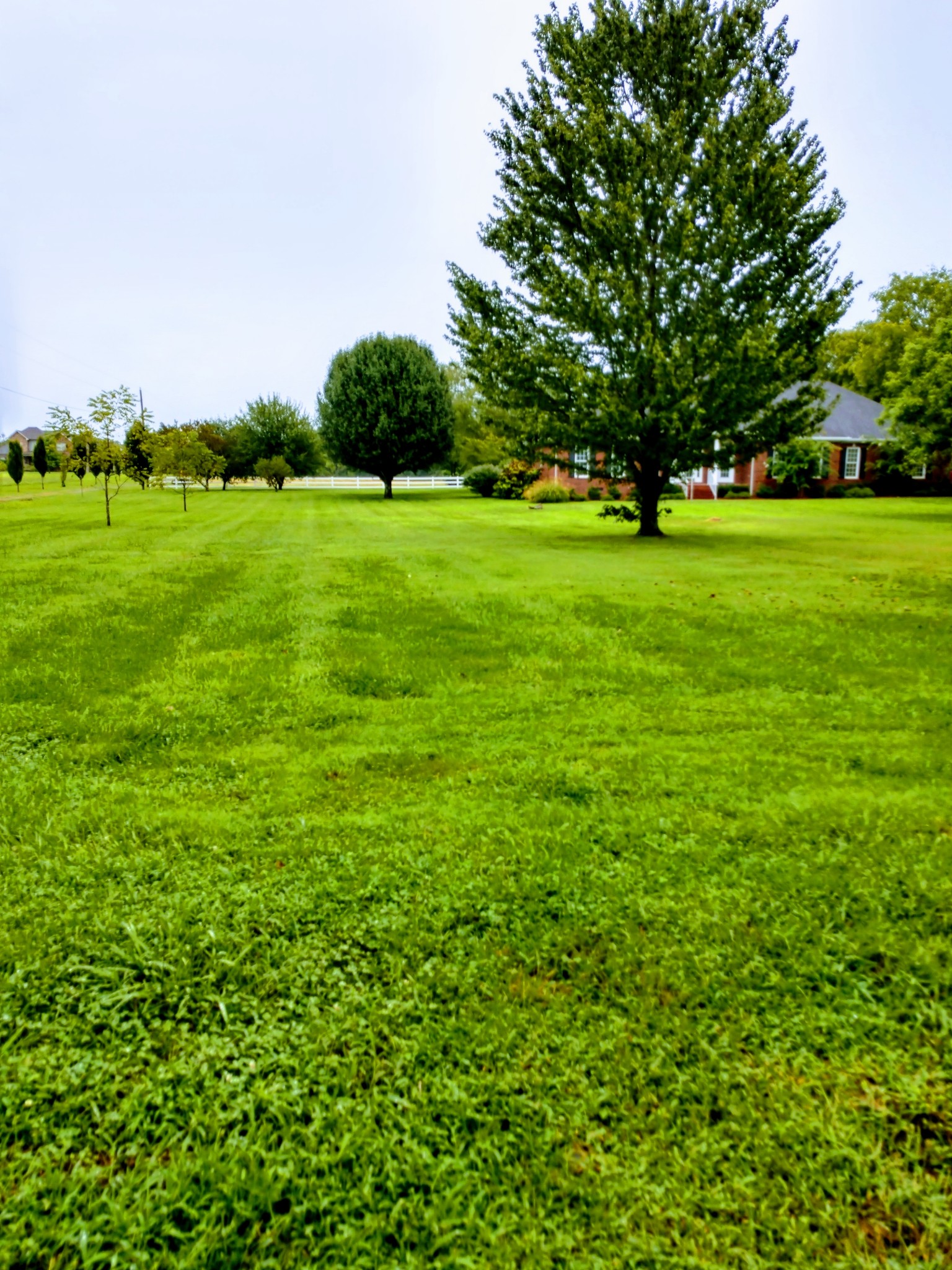 5209 Rucker Christiana Road Christiana, TN 37037 - Photo 6 of 39 Gallery Image 6