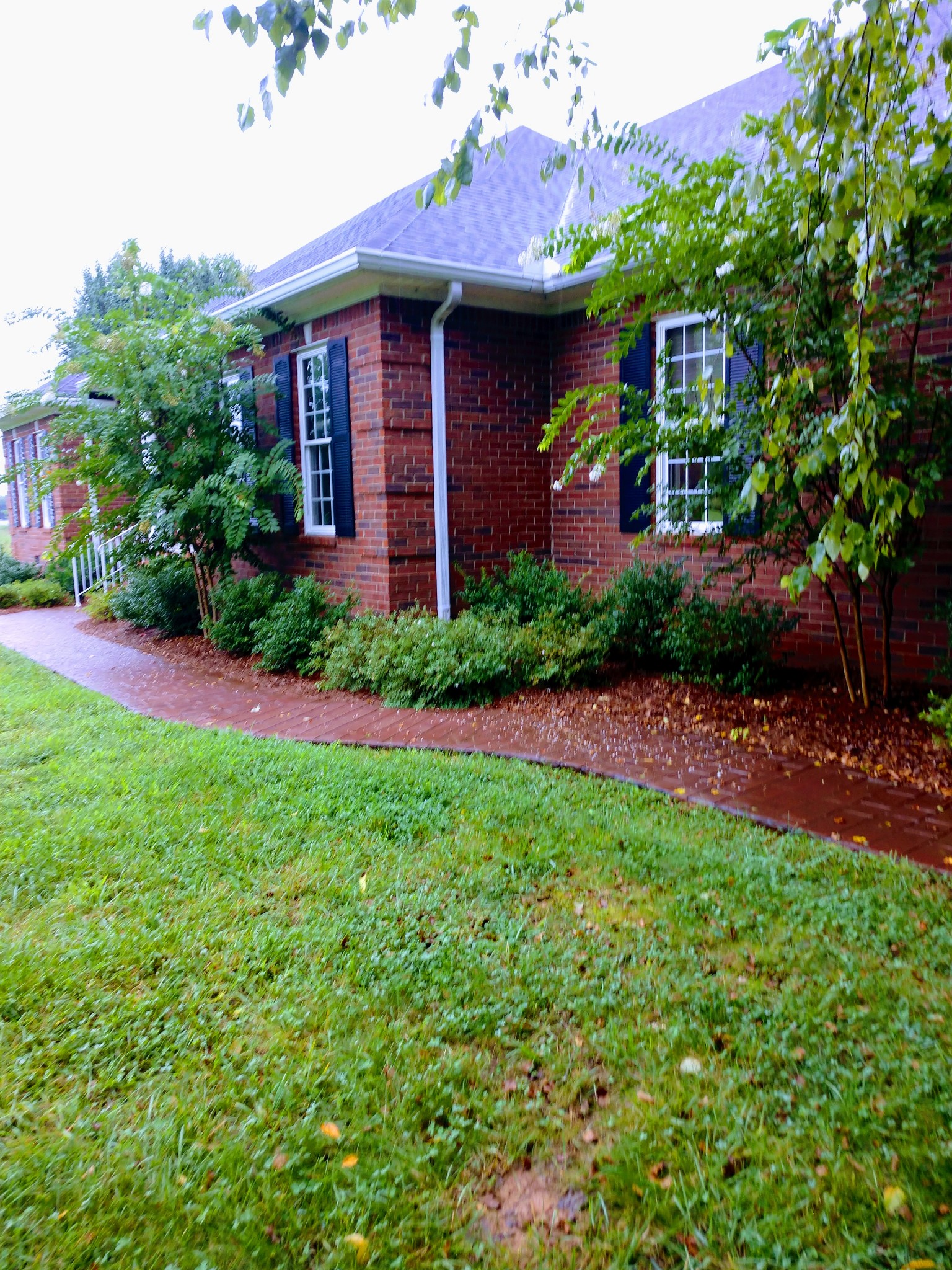 5209 Rucker Christiana Road Christiana, TN 37037 - Photo 7 of 39 Gallery Image 7