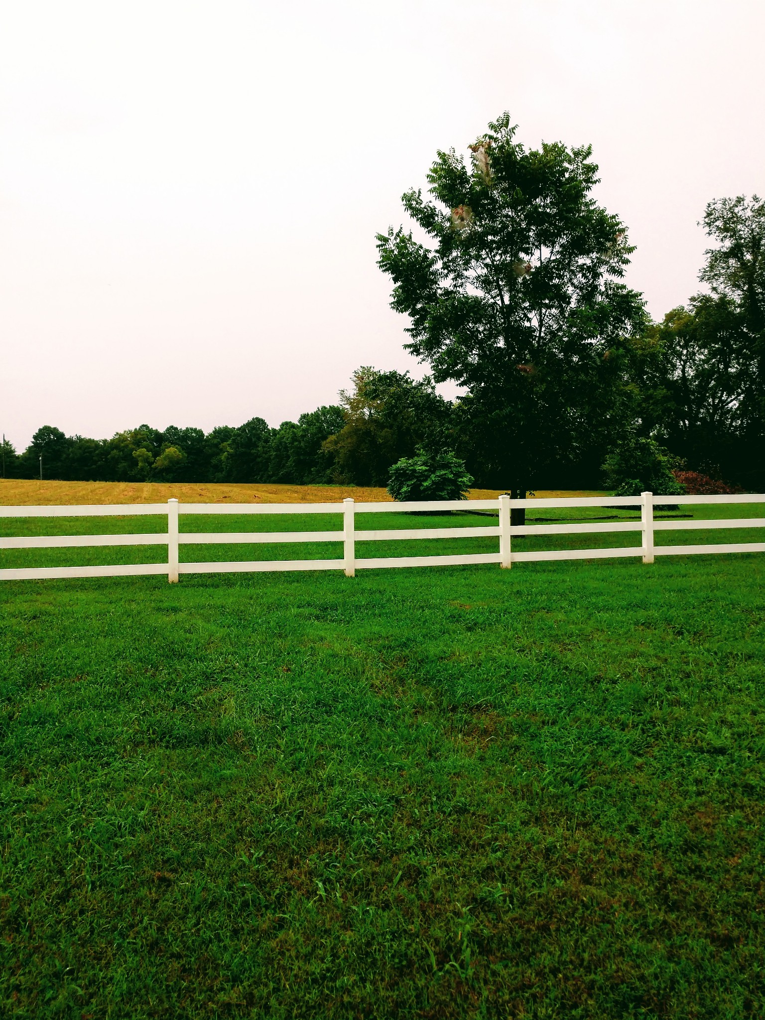 5209 Rucker Christiana Road Christiana, TN 37037 - Photo 10 of 39 Gallery Image 10