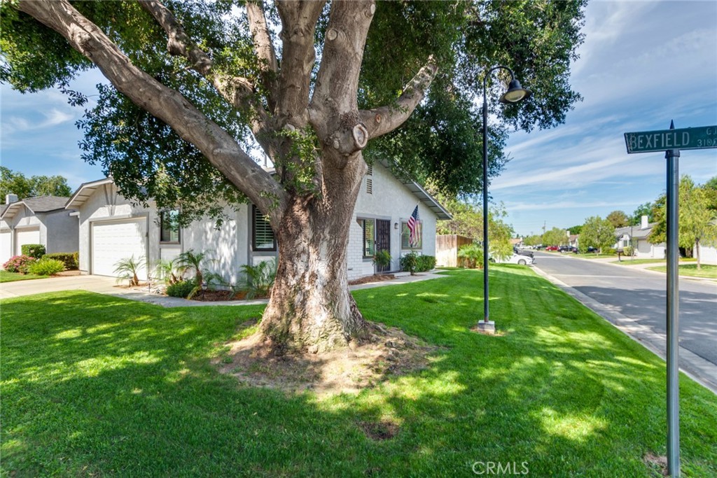 3198 Bexfield Court Riverside, CA 92503 - Photo 21 of 24 Front Yard Area with Cul-De-Sac