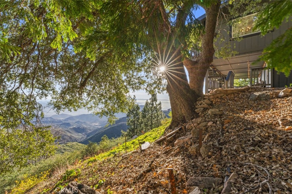 31537 Old City Creek Road Running Springs, CA 92382 - Photo 6 of 60