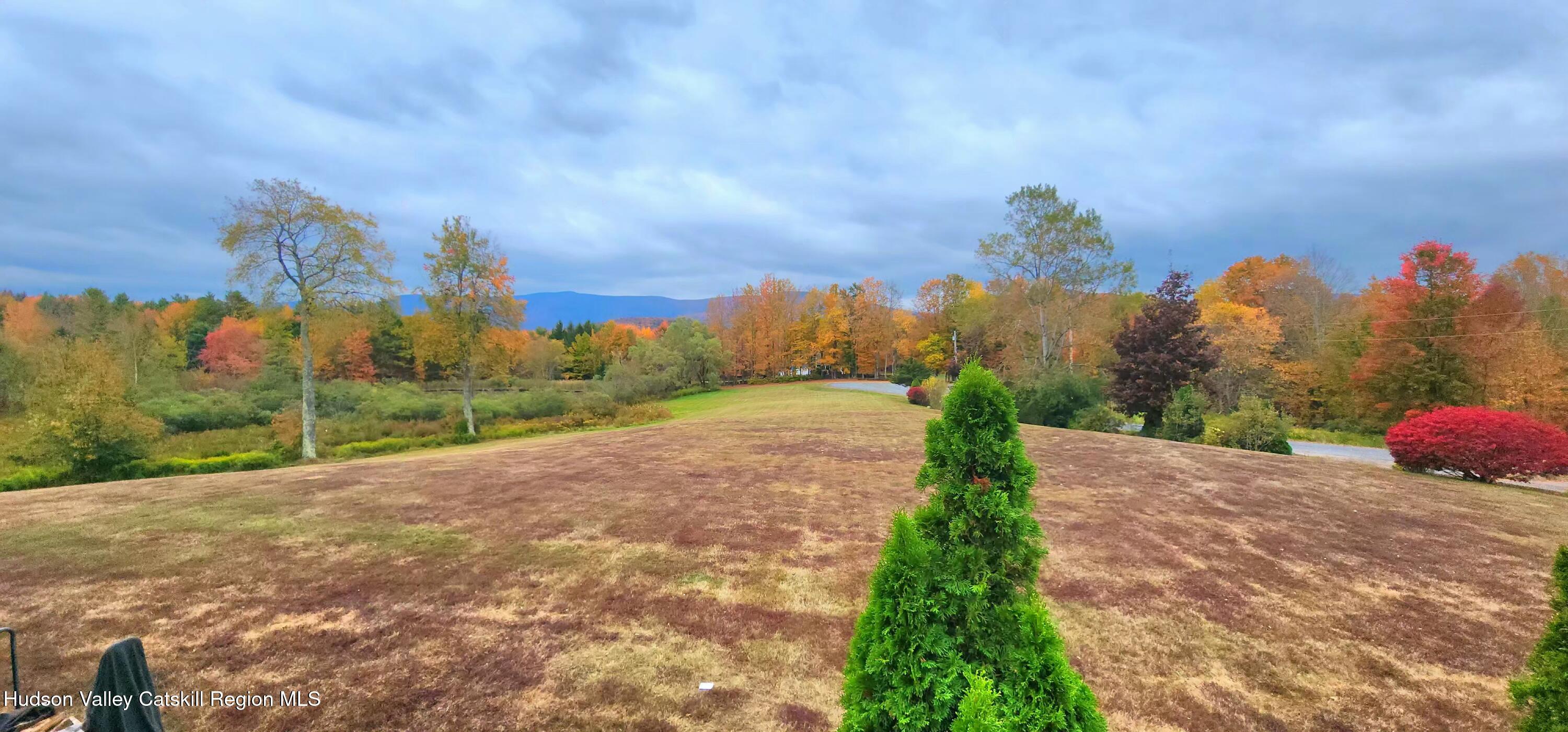 133 Old Field Road Jewett, NY 12444 - Photo 59 of 63 front yard