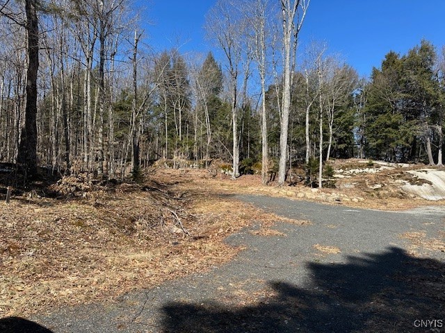 Brightside Road Raquette Lake, NY 13436 - Photo 2 of 3