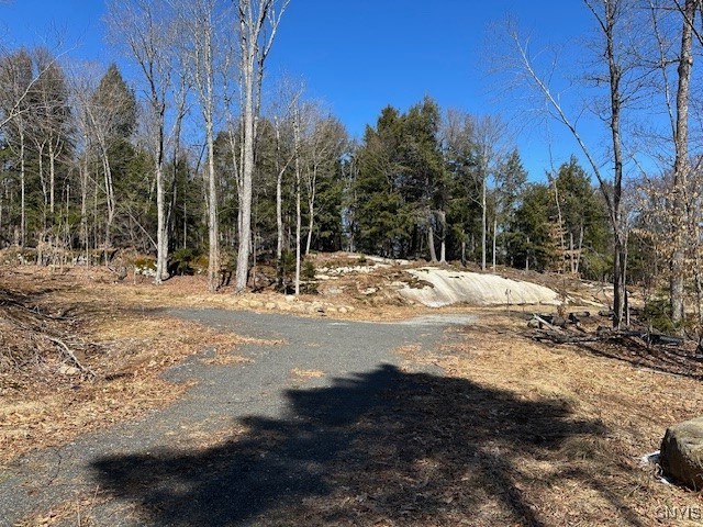 Brightside Road Raquette Lake, NY 13436 - Photo 3 of 3