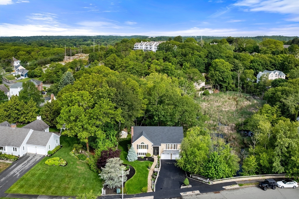 4 Blacksmith Way Saugus, MA 01906 - Photo 40 of 42 a picture of a yard with plants and large tree
