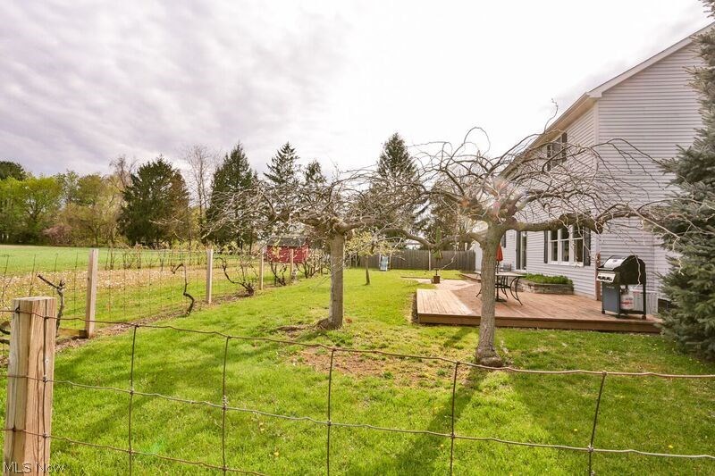 3295 North Ridge Road Vermilion, OH 44089 - Photo 28 of 29 2nd Back Yard View