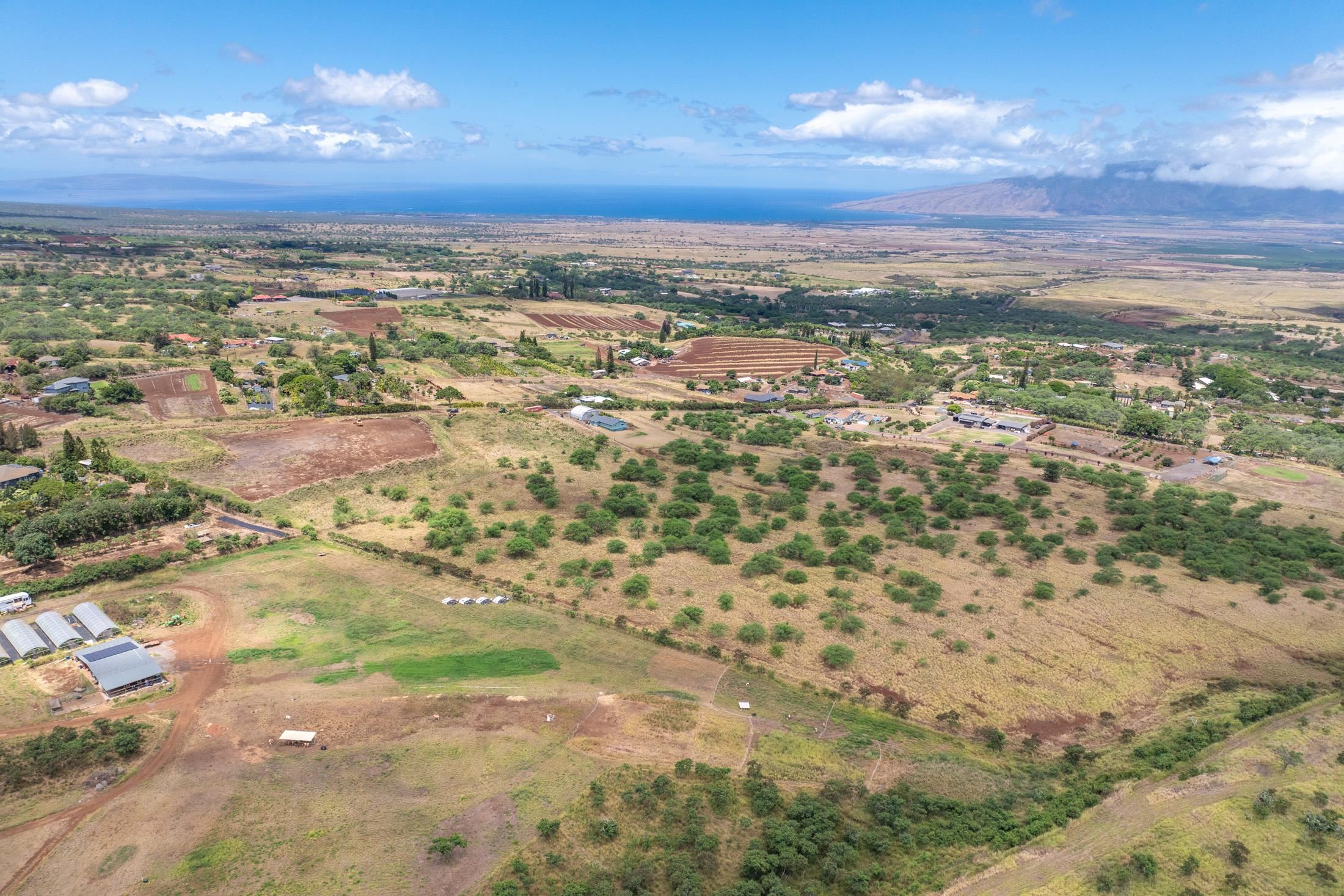 Omaopio Road Kula, HI 96790 - Photo 7 of 31 Gallery Image 7