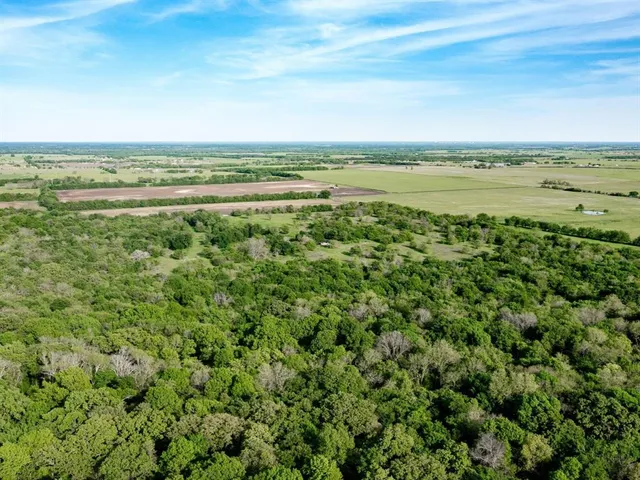 $1,099,996 | 7902 Cr-4820, Wolfe City, TX 75496