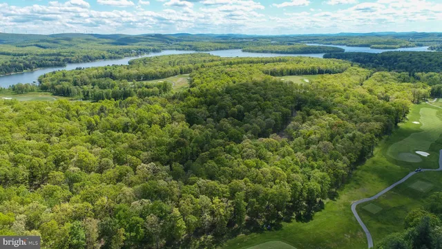 a view of a field with an ocean