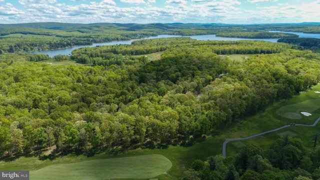 a view of a garden with an outdoor space
