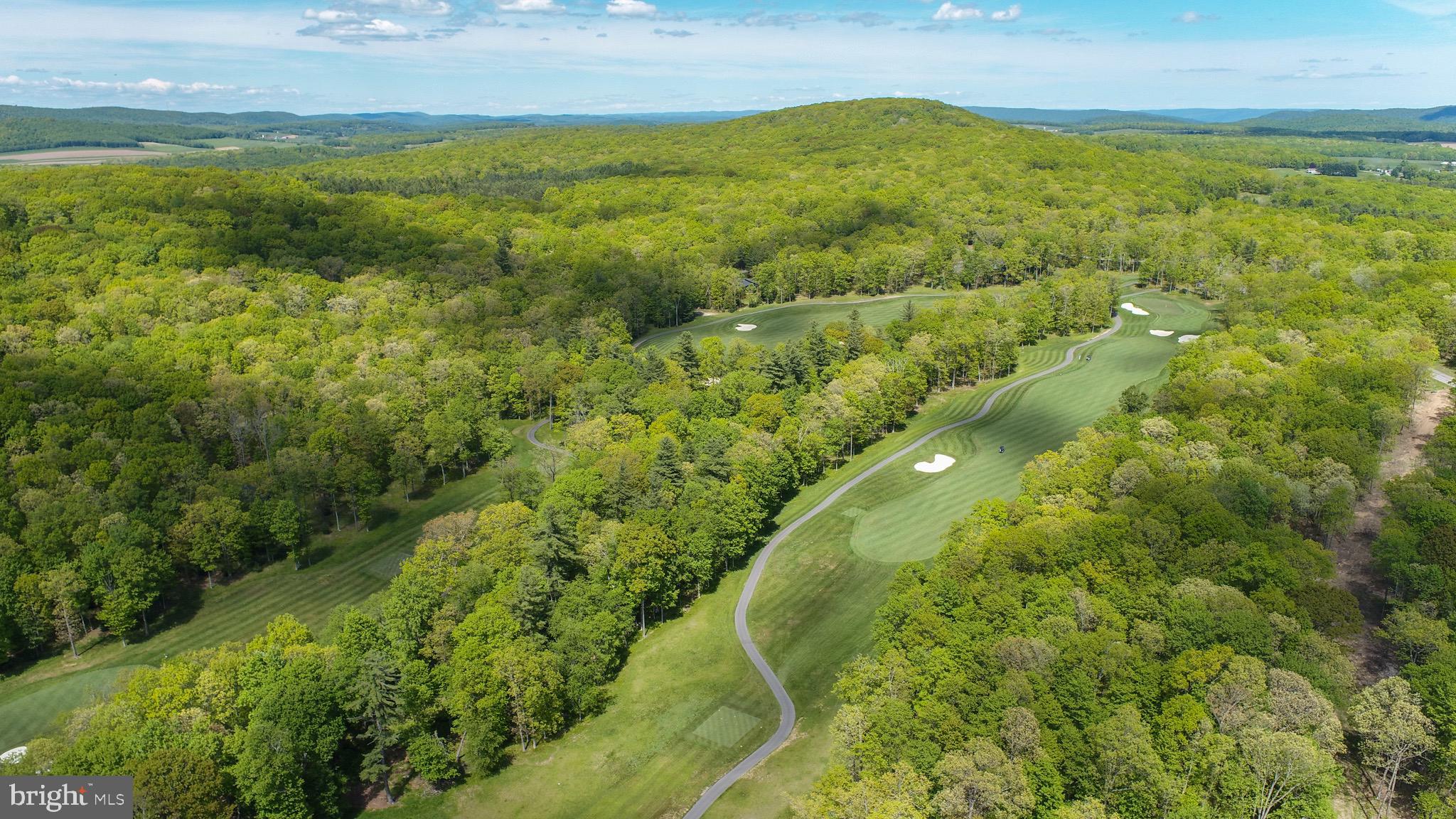 Lot 5 Azalea Way Swanton, MD 21561 - Photo 18 of 26 a view of a lush green forest with a mountain