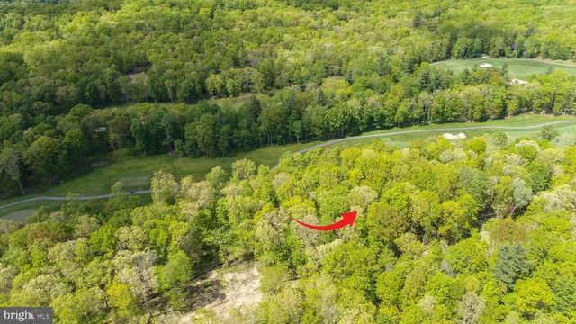 a view of a back yard