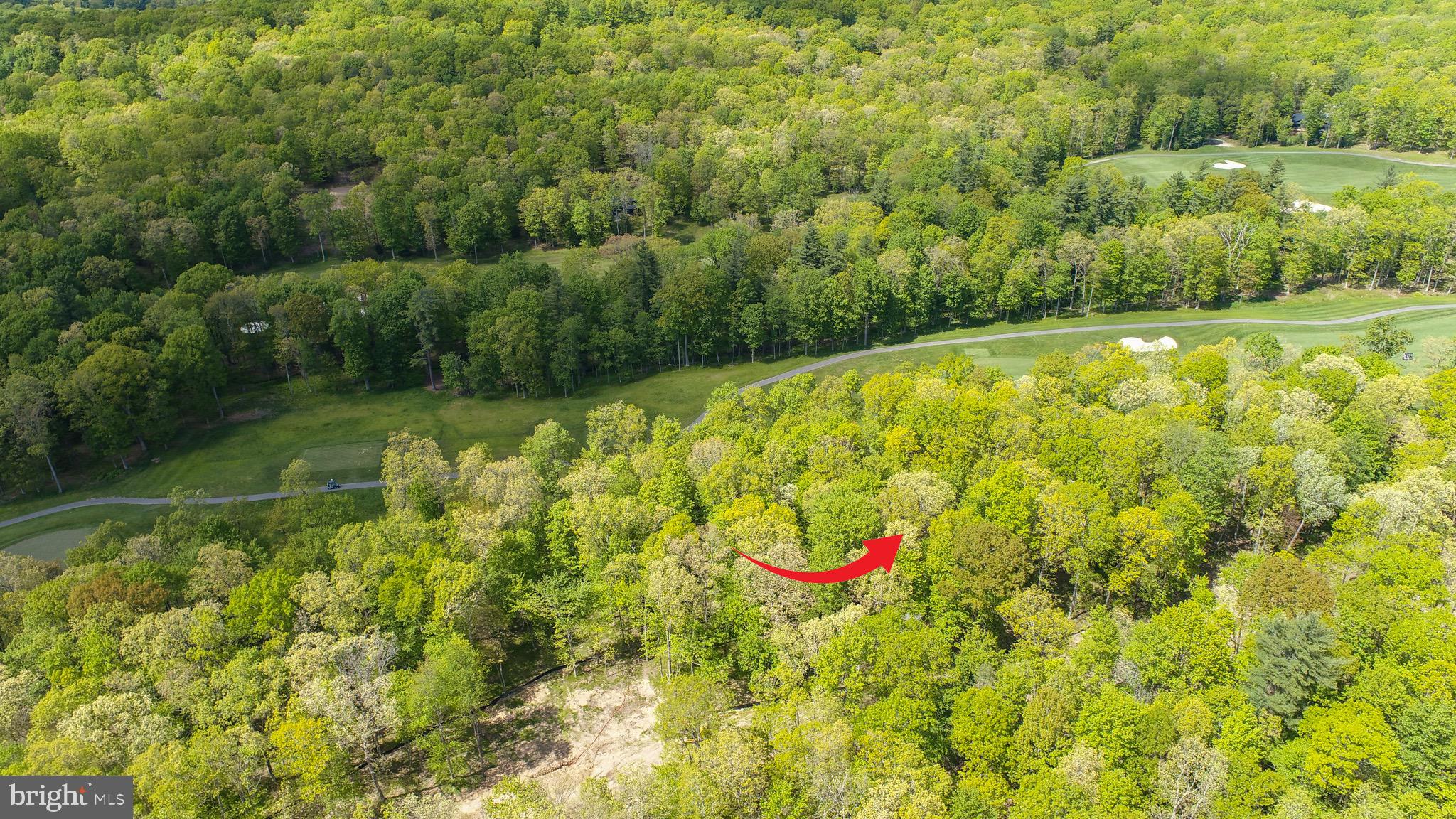 Lot 5 Azalea Way Swanton, MD 21561 - Photo 2 of 26 a view of a back yard