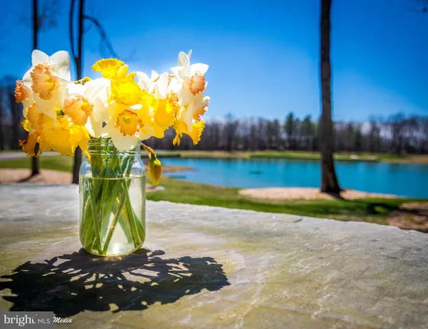 a view of a fountain in front of house