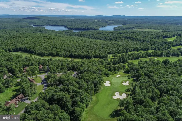 a view of a lush green forest