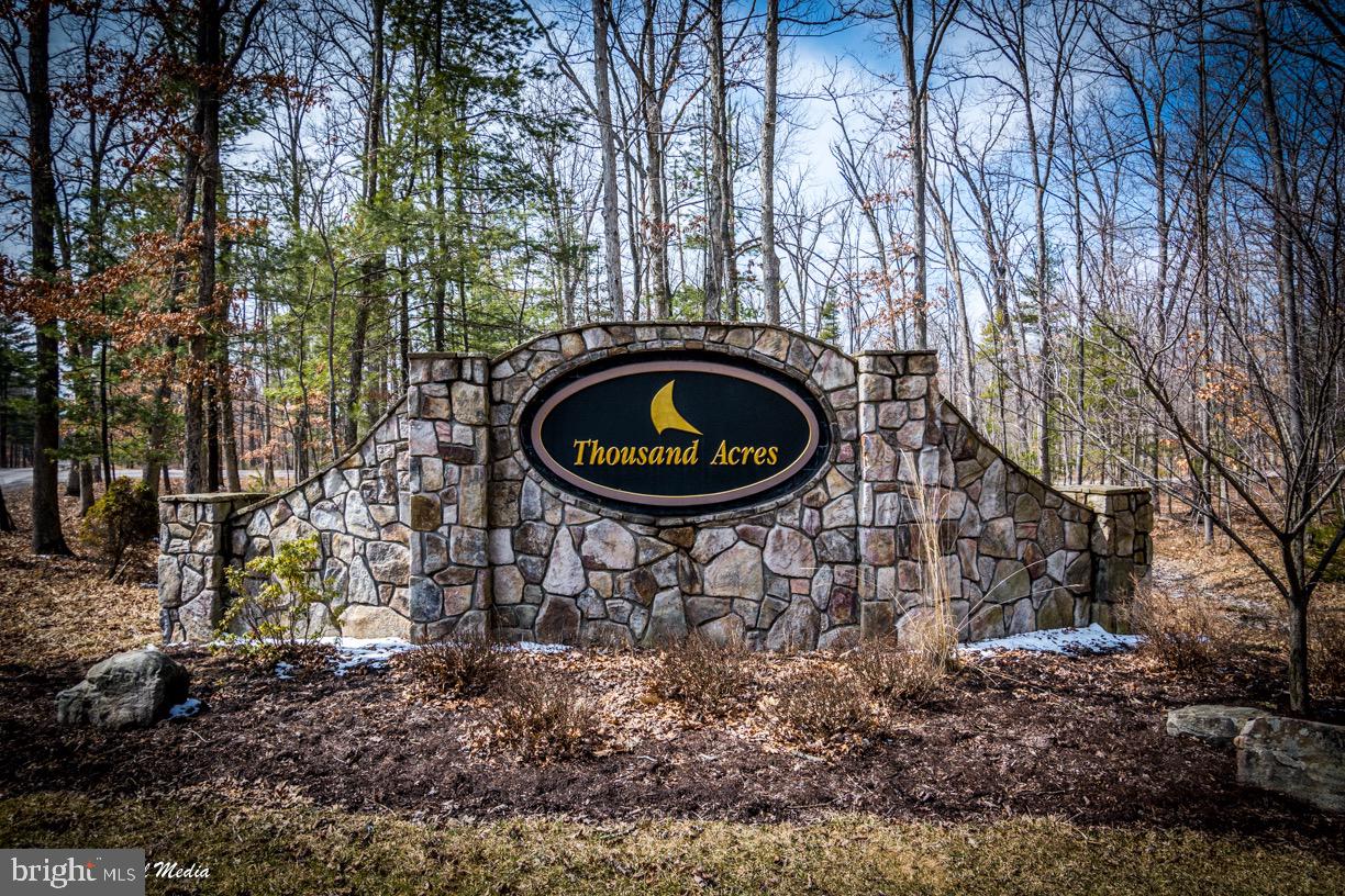 Lot 5 Azalea Way Swanton, MD 21561 - Photo 26 of 26 a backyard of a house with lots of green space