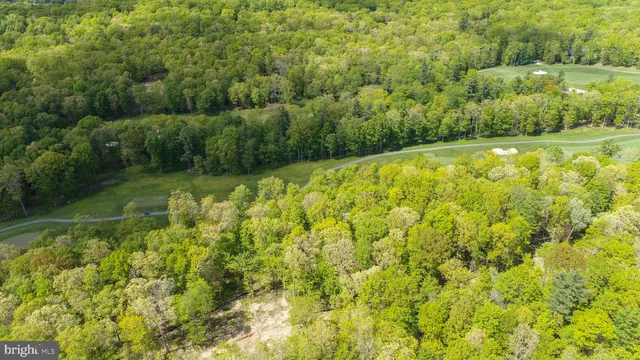 a view of a garden with plants