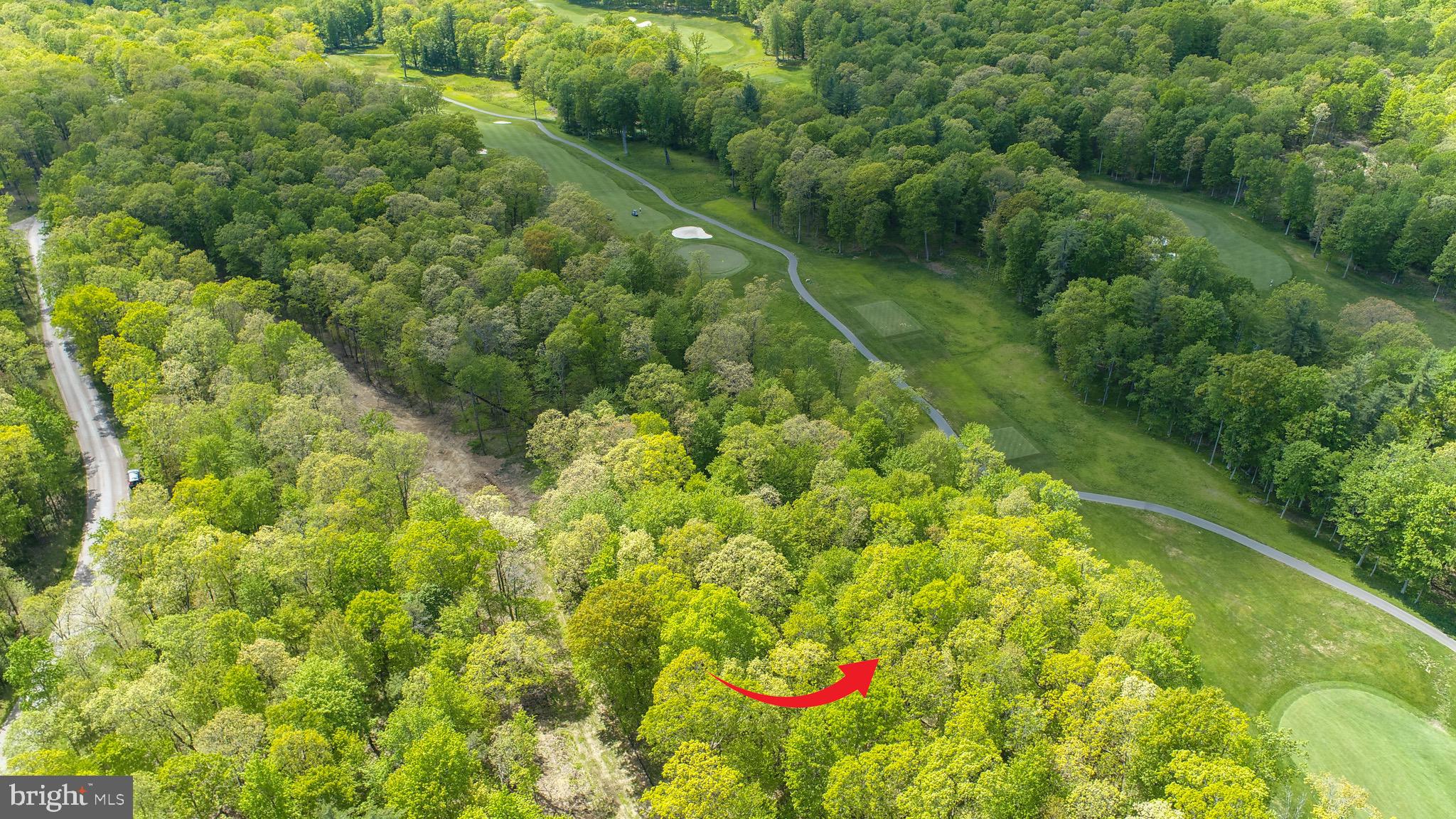 Lot 5 Azalea Way Swanton, MD 21561 - Photo 6 of 26 a view of a garden