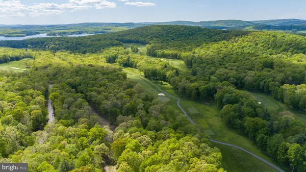 a view of a lake with a city