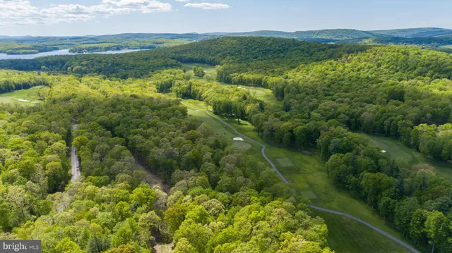 a view of a lake with a city