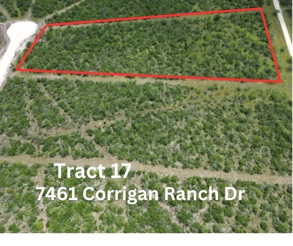 $50,000 | 7460 Corrigan Ranch- Tract 17 Road, Skidmore, TX 78389