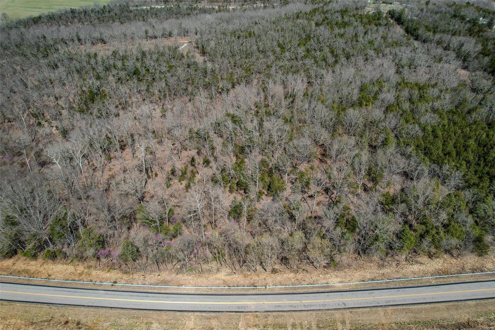 0 Track 4a- Holiday Hills Road Richland, MO 65556 - Photo 11 of 13