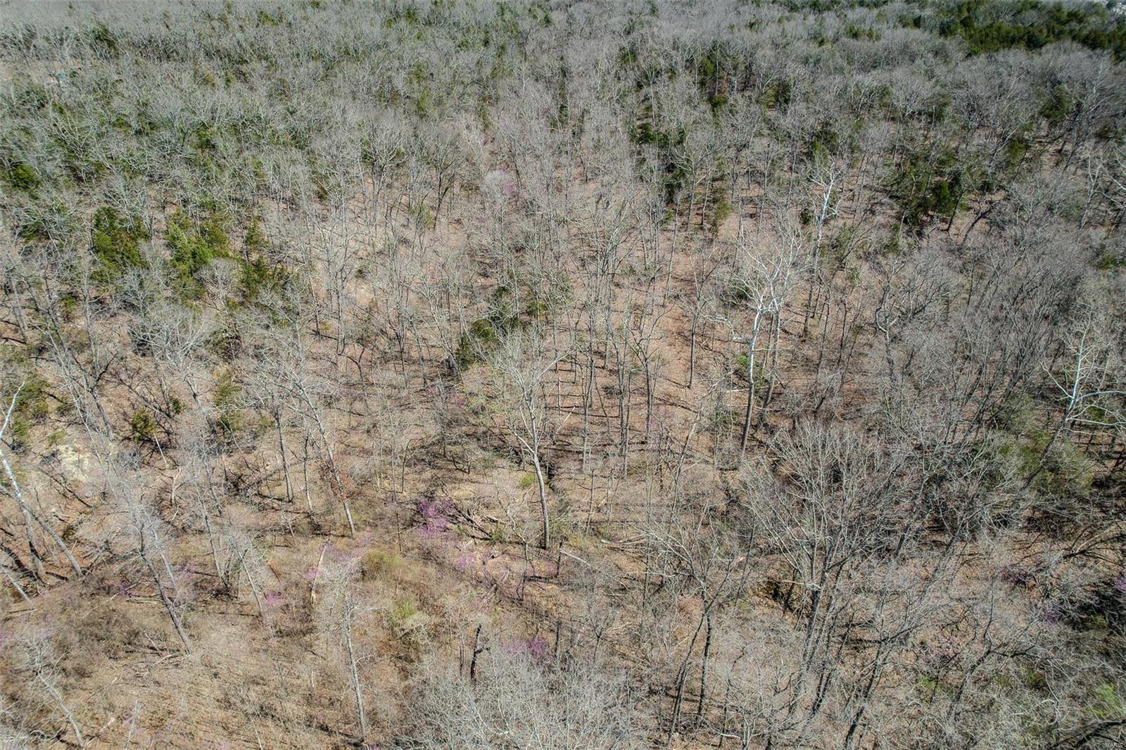 0 Track 4a- Holiday Hills Road Richland, MO 65556 - Photo 12 of 13