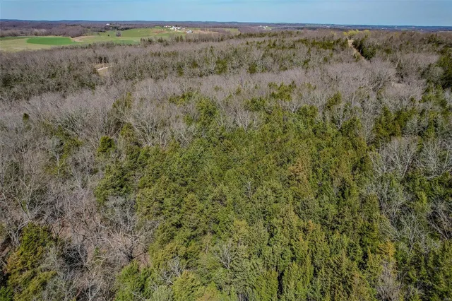 $60,000 | 0 Track 4a- Holiday Hills Road, Richland, MO 65556