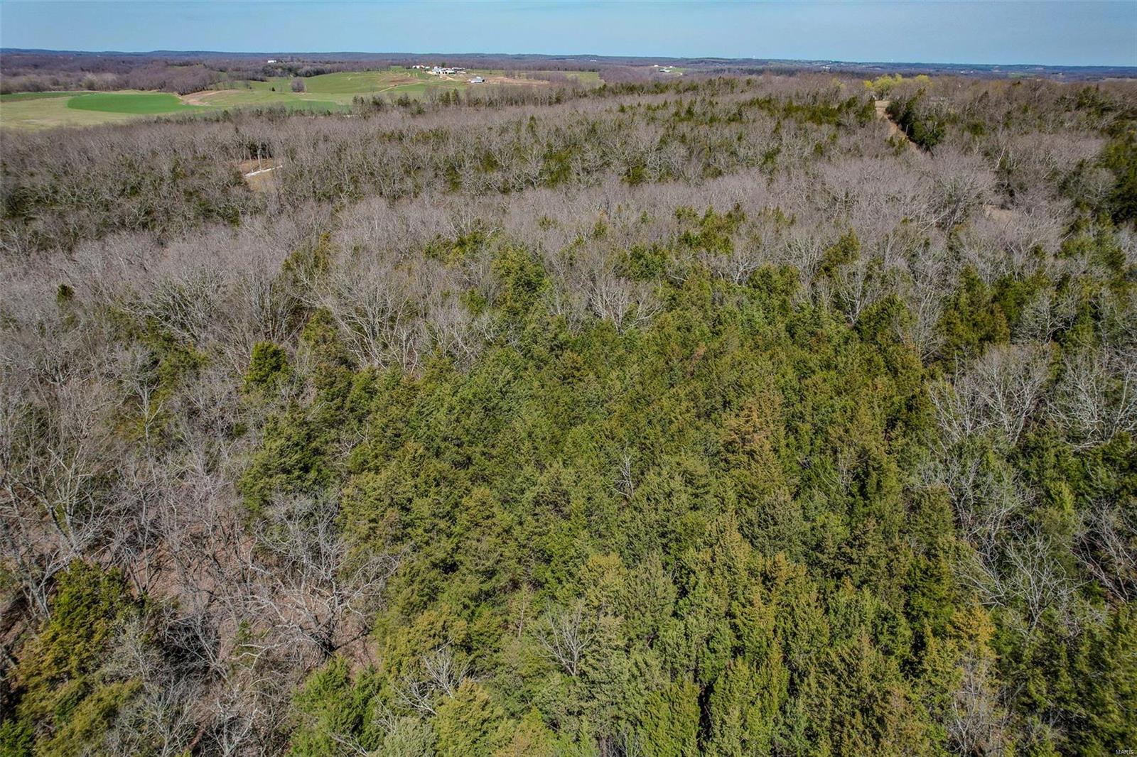 0 Track 4a- Holiday Hills Road Richland, MO 65556 - Photo 13 of 13