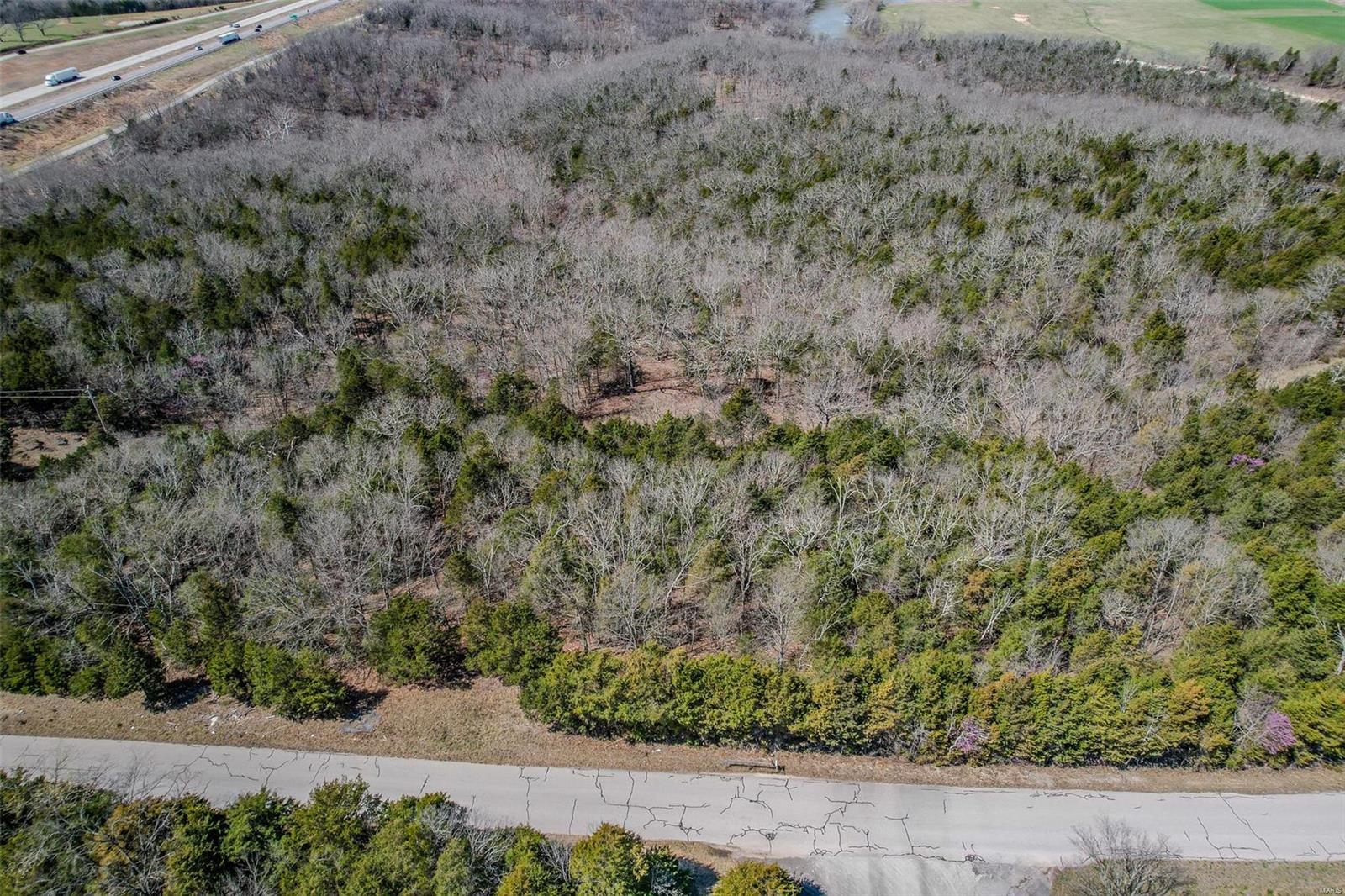 0 Track 4a- Holiday Hills Road Richland, MO 65556 - Photo 10 of 13