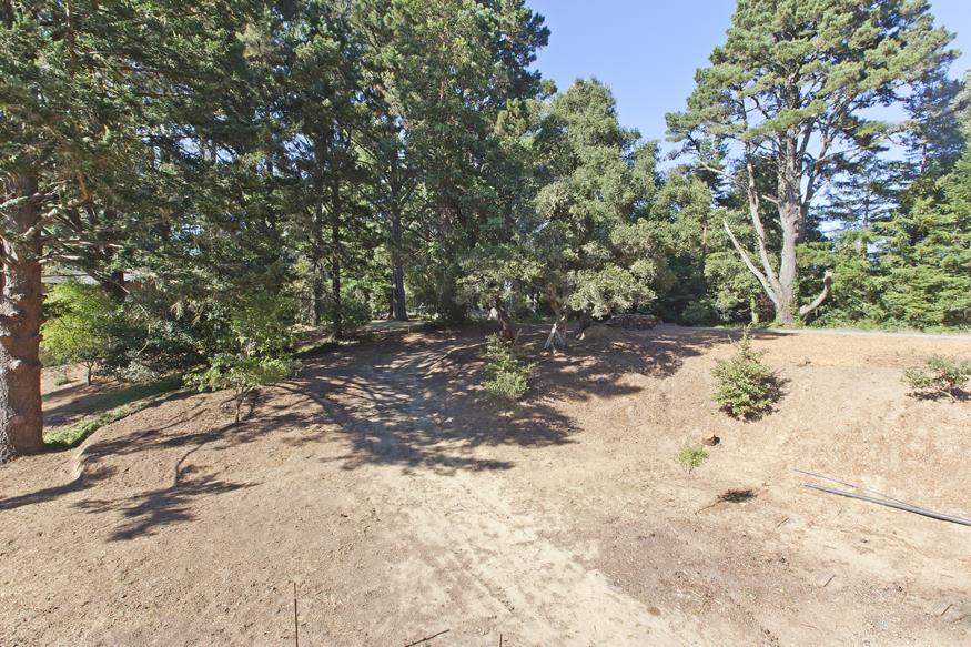 56 Big Tree Road Woodside, CA 94062 - Photo 26 of 31 a view of a yard with trees