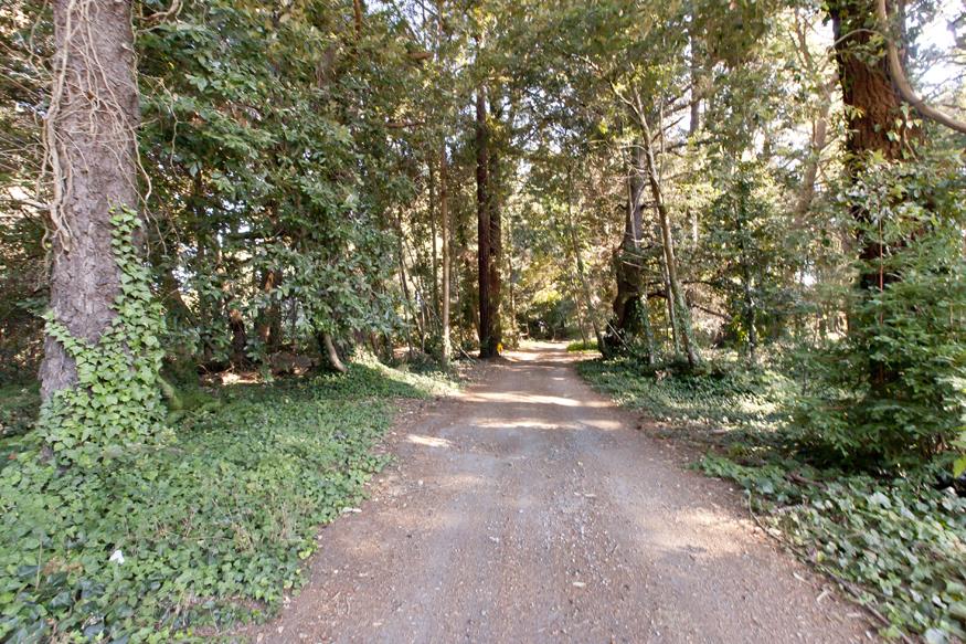 56 Big Tree Road Woodside, CA 94062 - Photo 28 of 31 a view of road and trees