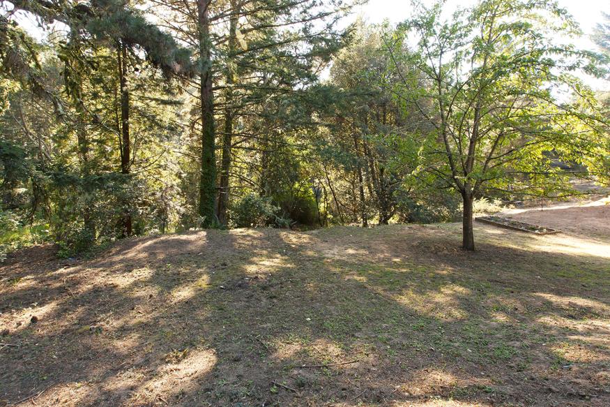 56 Big Tree Road Woodside, CA 94062 - Photo 30 of 31 a view of dirt yard with a tree