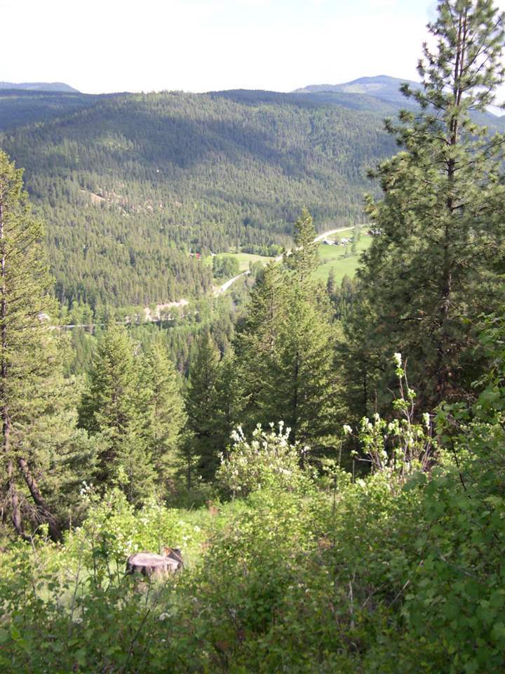 2350 Aladdin Road Colville, WA 99114 - Photo 1 of 5 Gallery Image 1