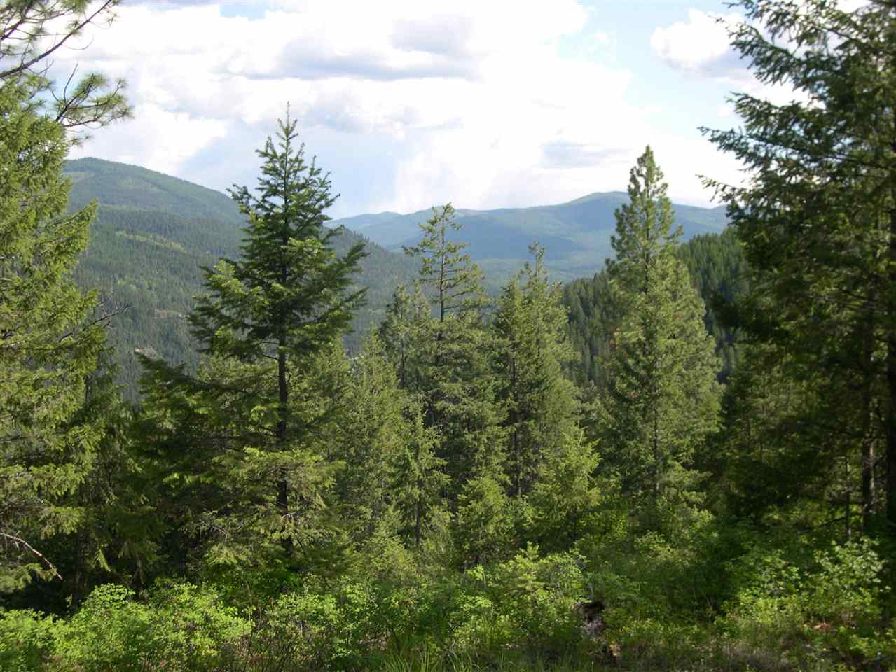 2350 Aladdin Road Colville, WA 99114 - Photo 3 of 5 Gallery Image 3
