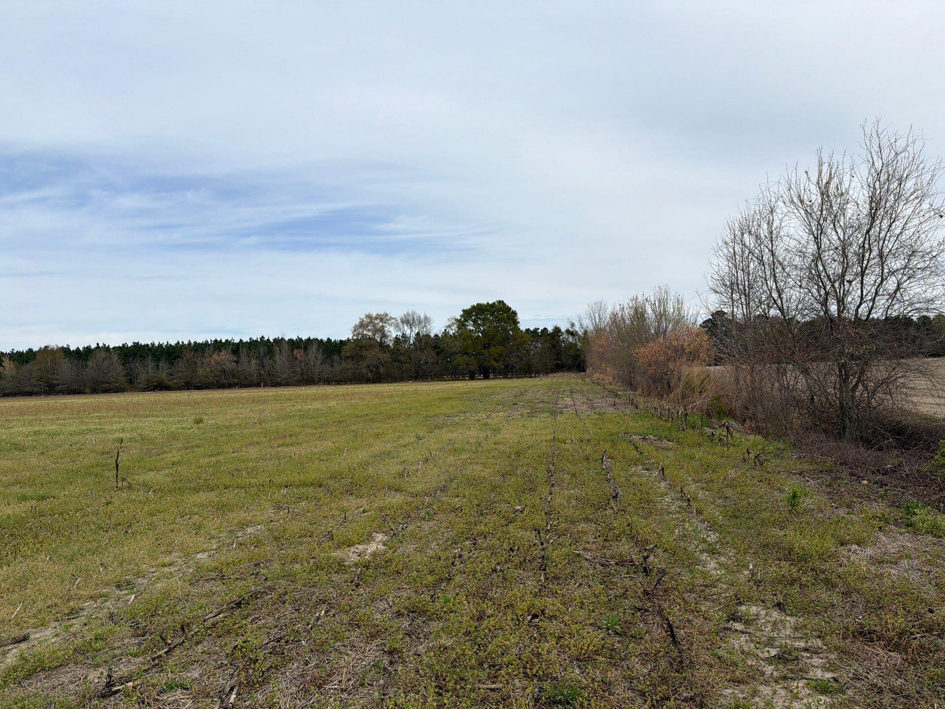 1 Judson Road, Unit MTA 1 Dillon, SC 29536 - Photo 20 of 28