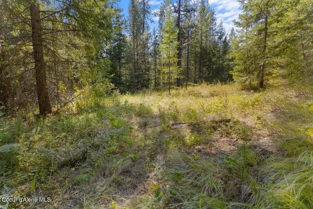 $89,999 | Nna Granite Ridge Road, Priest River, ID 83856