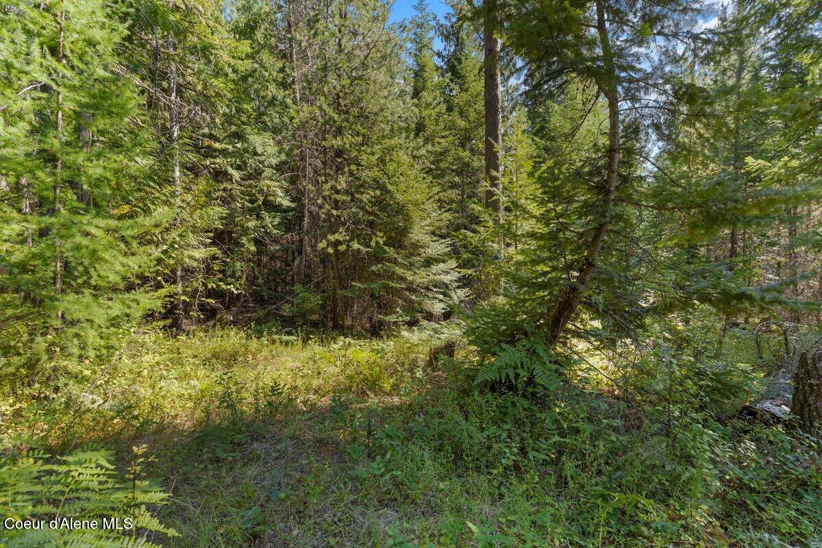 Nna Granite Ridge Road Priest River, ID 83856 - Photo 20 of 22 IMG_3450