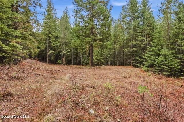 $89,999 | Nna Granite Ridge Road, Priest River, ID 83856