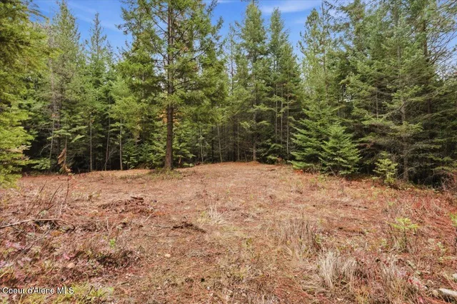 $89,999 | Nna Granite Ridge Road, Priest River, ID 83856