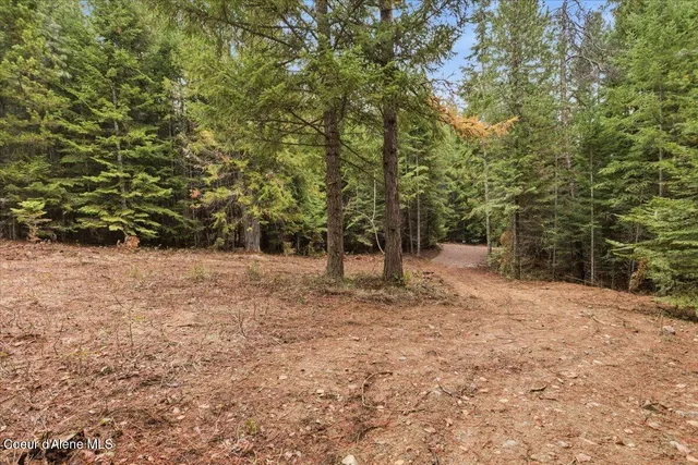 $89,999 | Nna Granite Ridge Road, Priest River, ID 83856