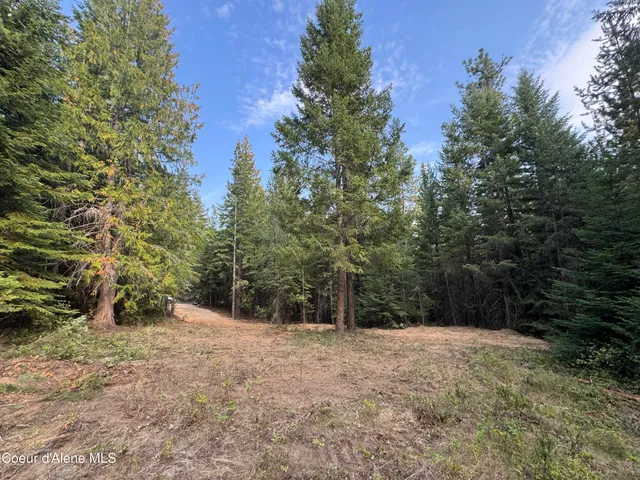 $89,999 | Nna Granite Ridge Road, Priest River, ID 83856