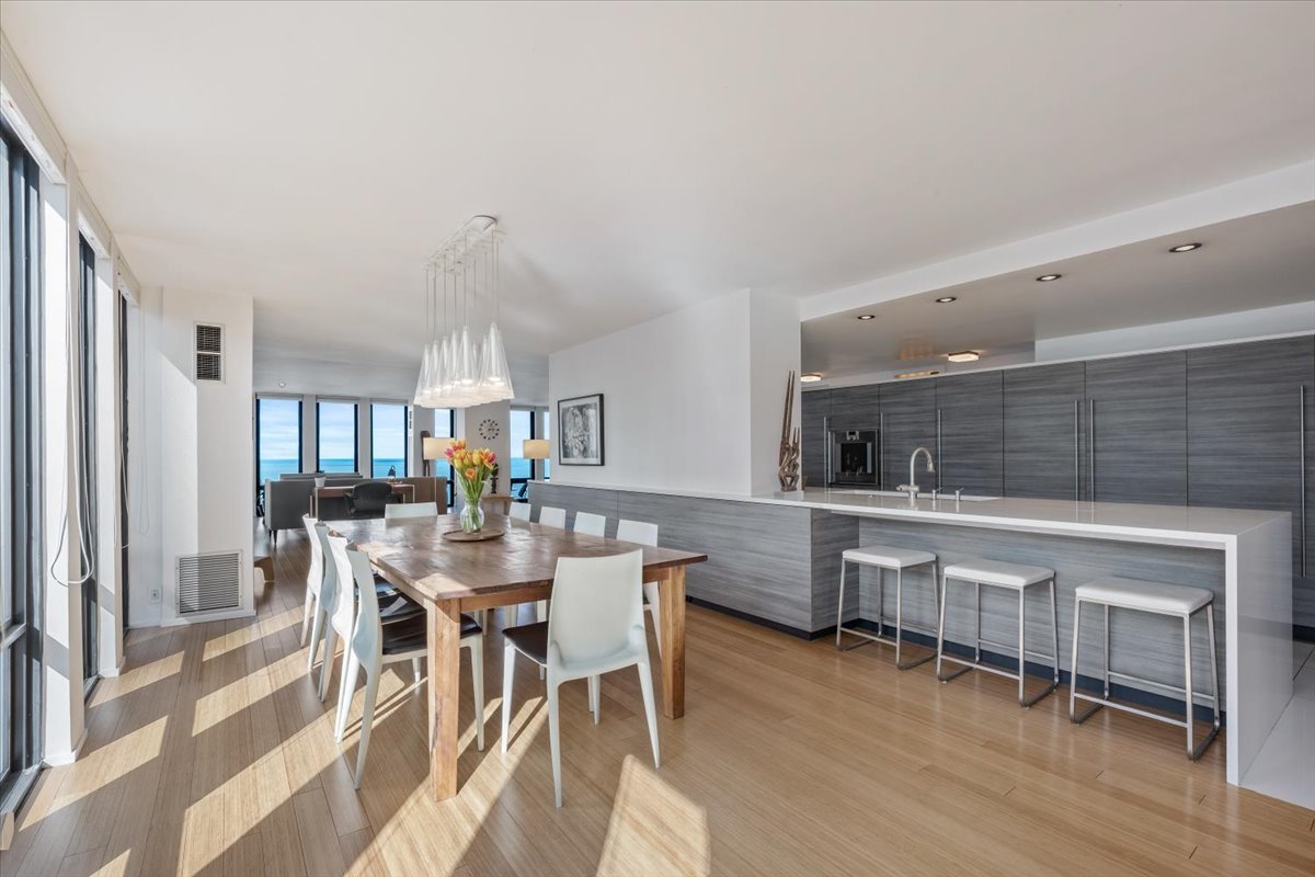 200 East Delaware Place, Unit 32AF Chicago, IL 60611 - Photo 19 of 56