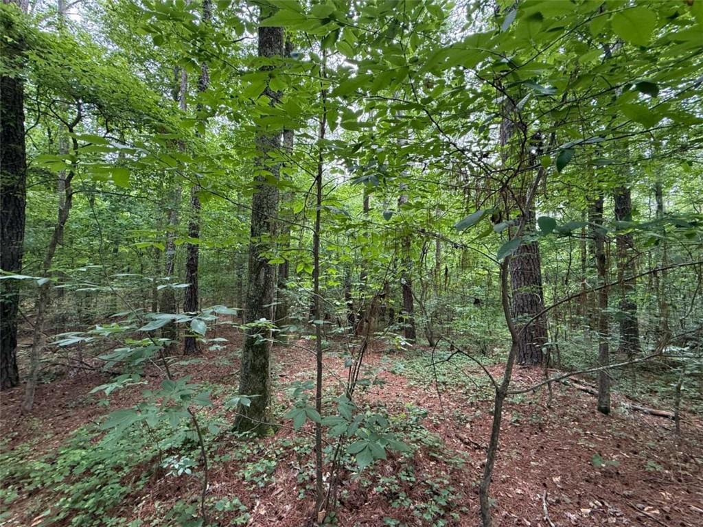 0 Bollen Drive Rome, GA 30165 - Photo 3 of 4